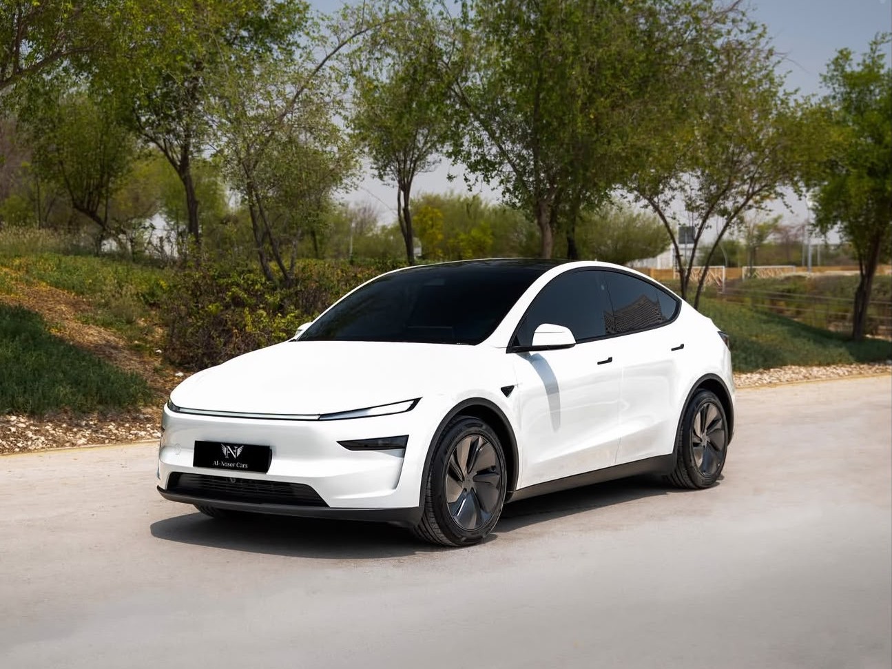 Tesla Model Y Long Range 2026