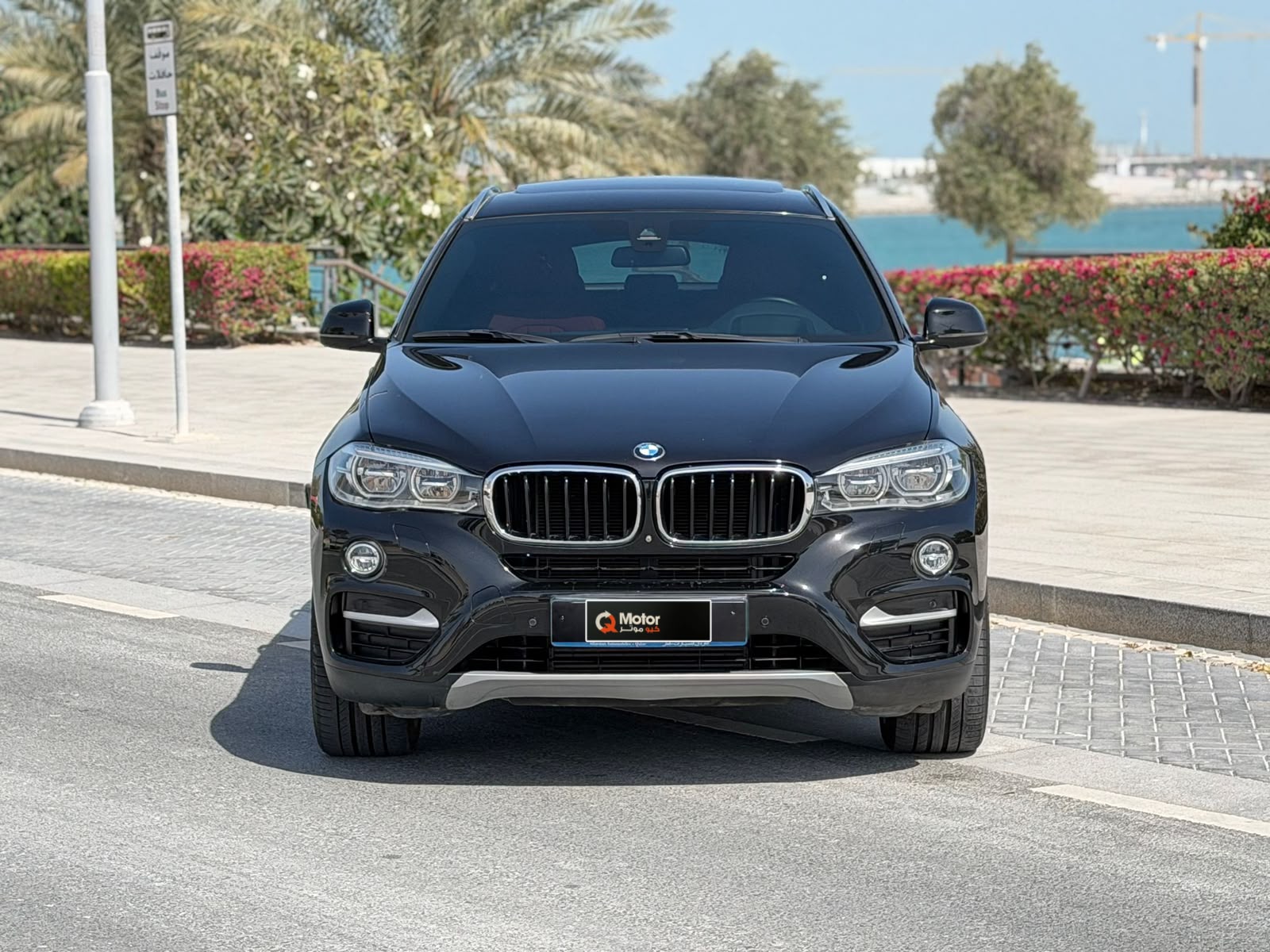 BMW X-Series X6 2018 - Image 2
