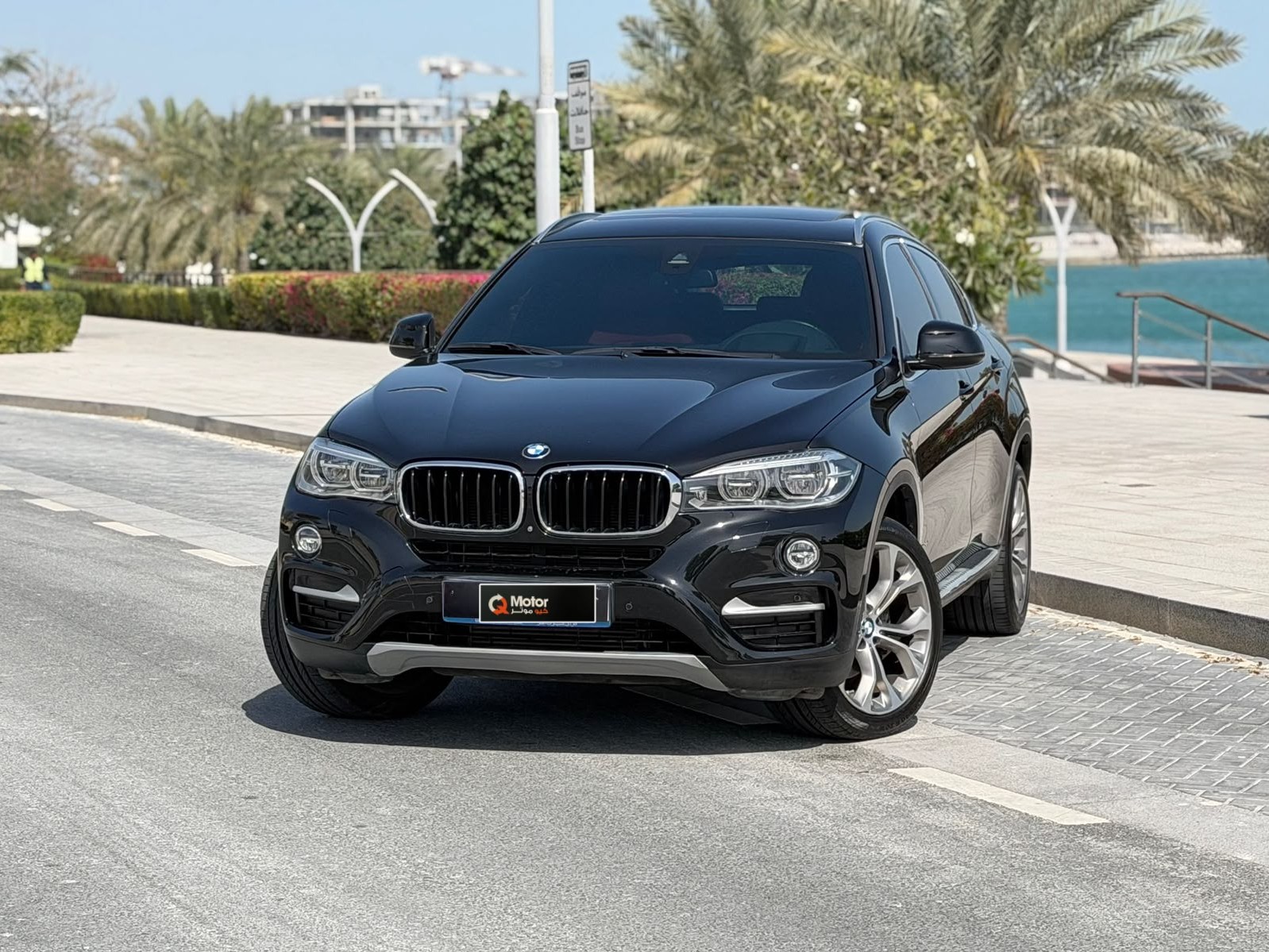 BMW X-Series X6 2018 - Image 3