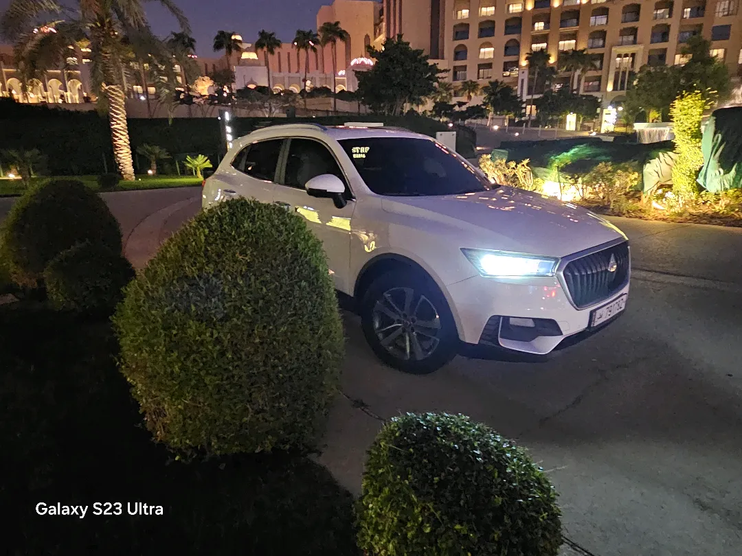 Borgward BX5 2019 - Image 2
