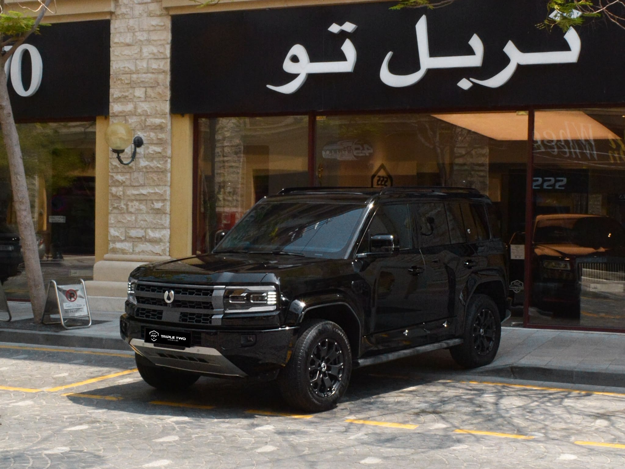 بي واي دي  DENZA B5 2026
