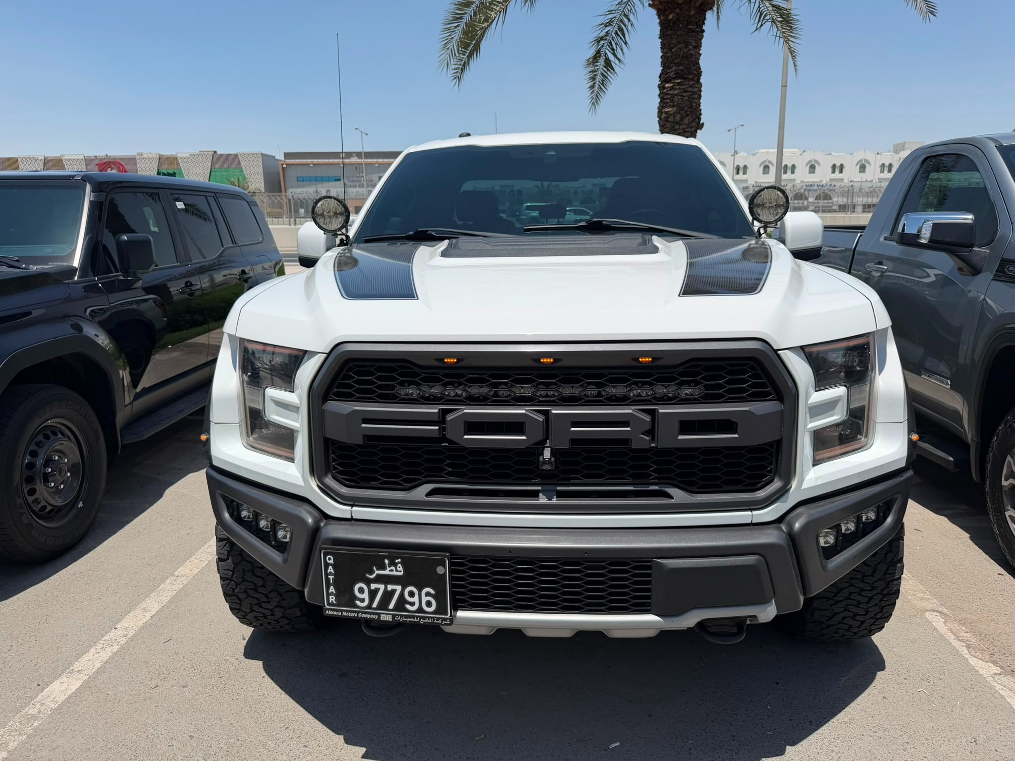 Ford Raptor Standard 2019 - Image 2