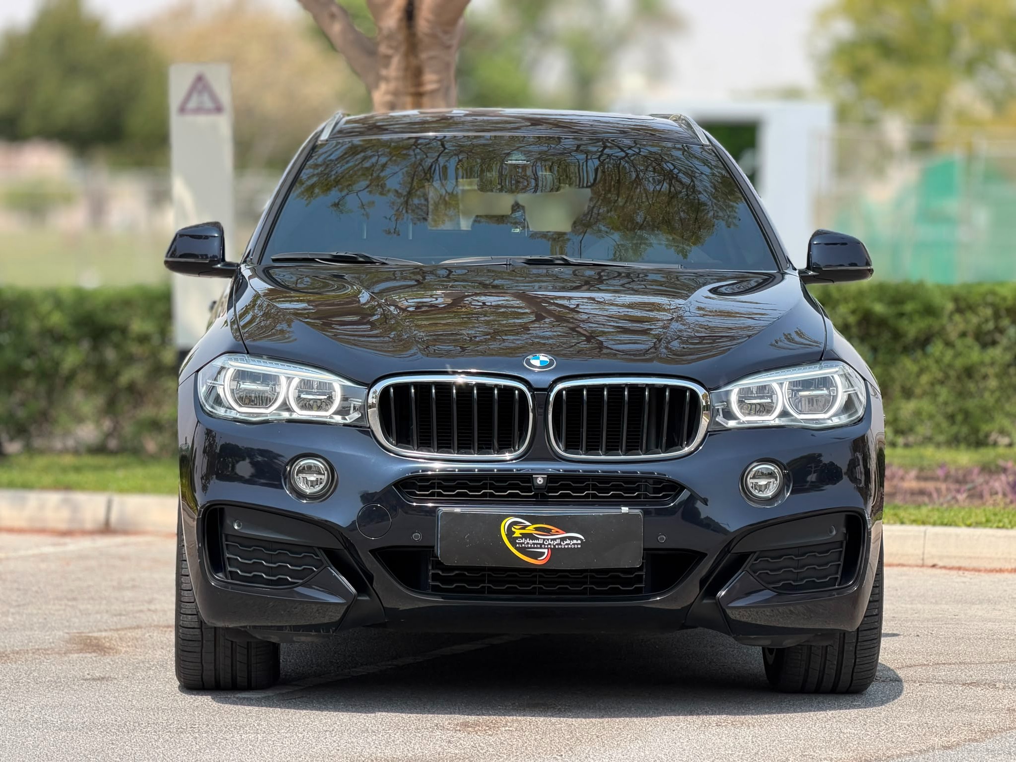 BMW X-Series X6 2019 - Image 2