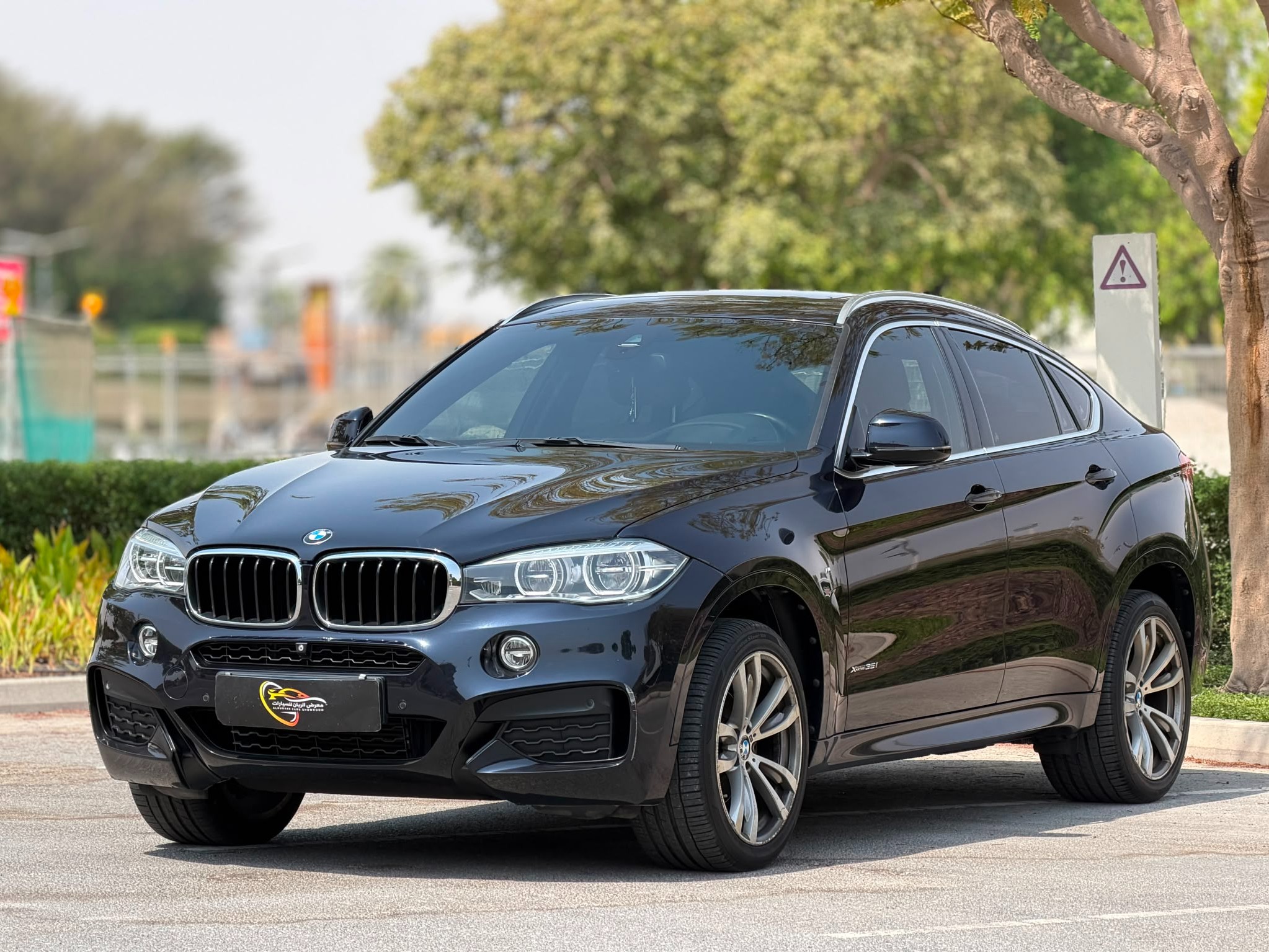 BMW X-Series X6 2019 - Image 3