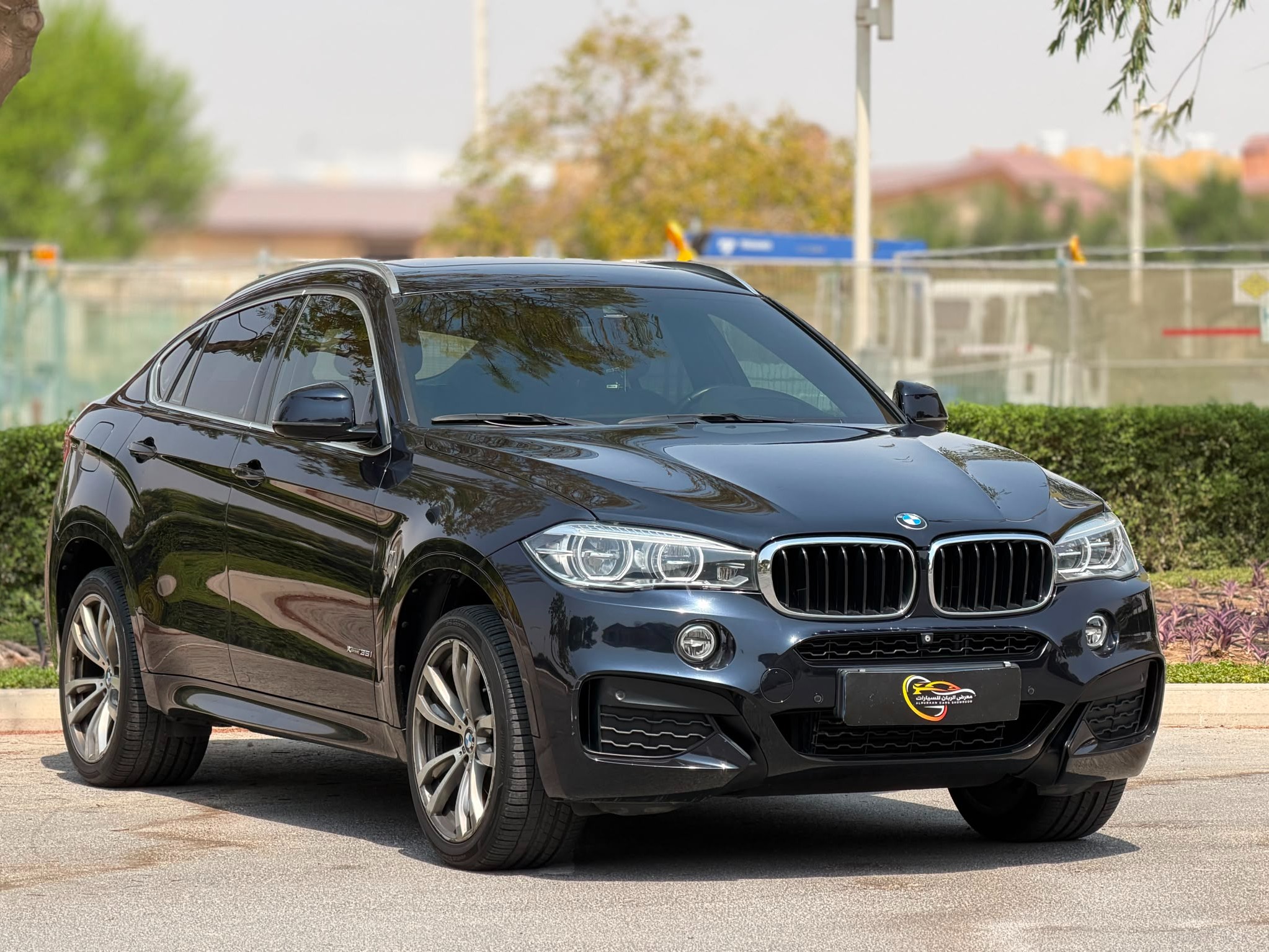 BMW X-Series X6 2019