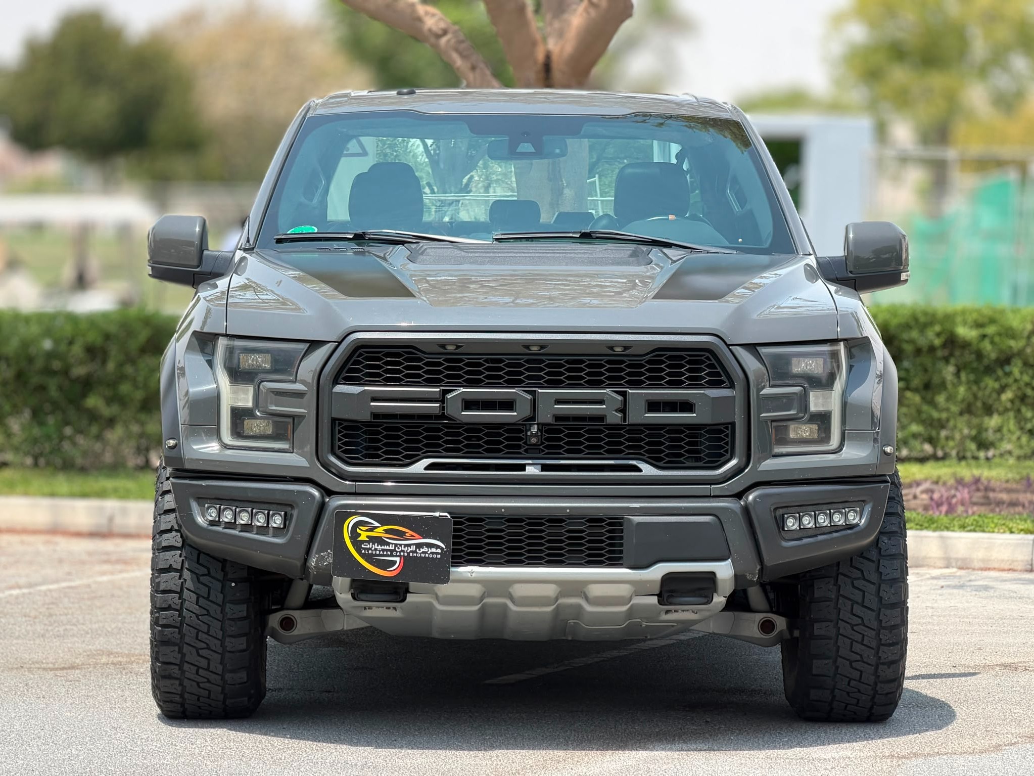 Ford Raptor SVT 2018 - Image 2