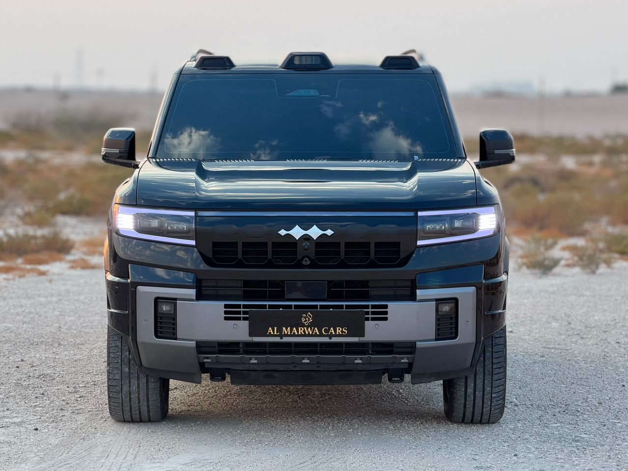 BYD  LEOPARD 8 Flagship 2025 - Image 2