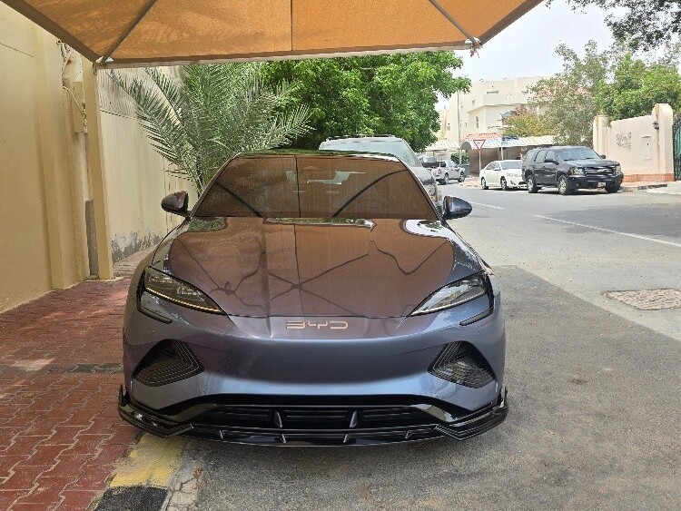 بي واي دي  sealion 06 2024