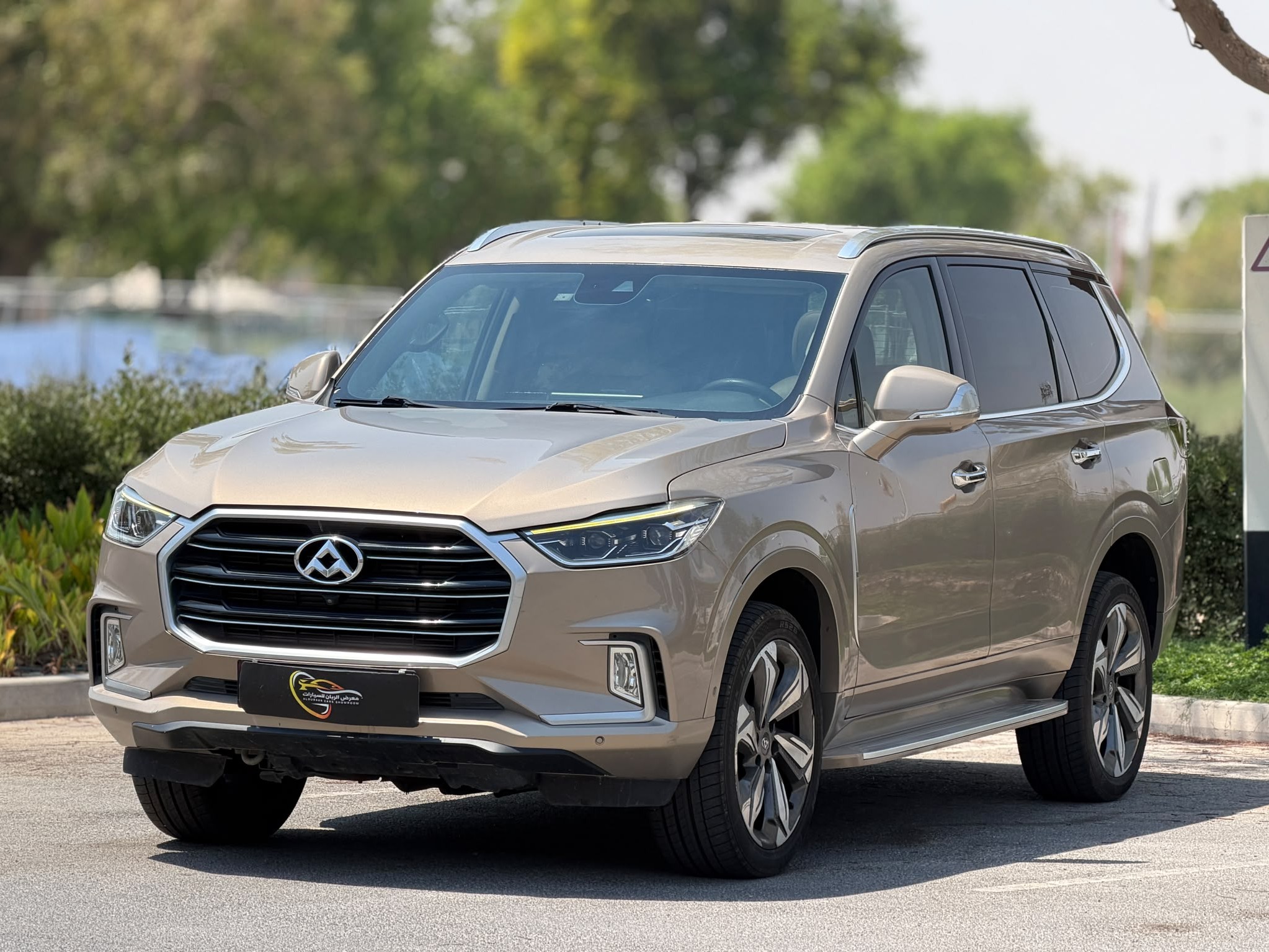 Maxus D90 2019 - Image 3