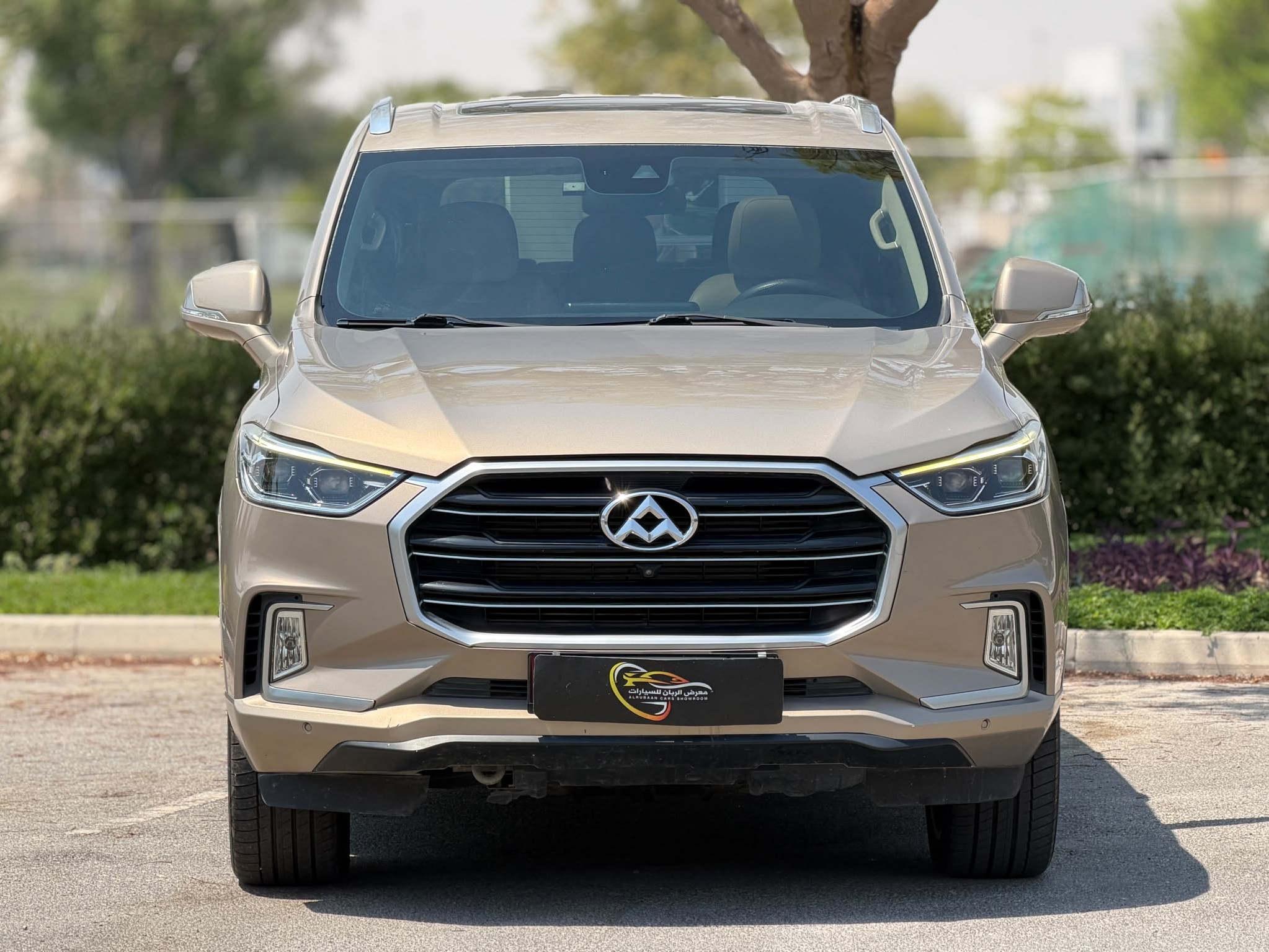 Maxus D90 2019 - Image 2