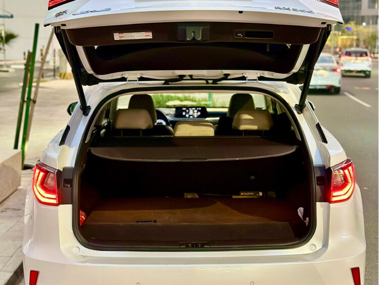 Lexus RX 350 2019 - Image 3