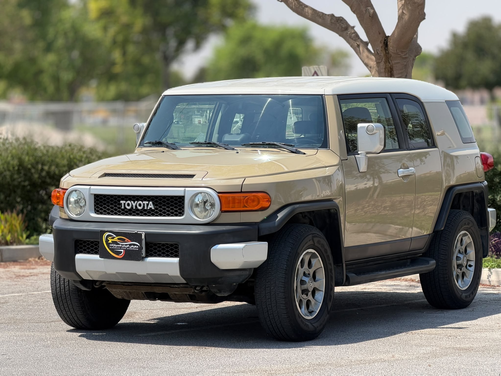 Toyota FJ Cruiser 2013 - Image 3