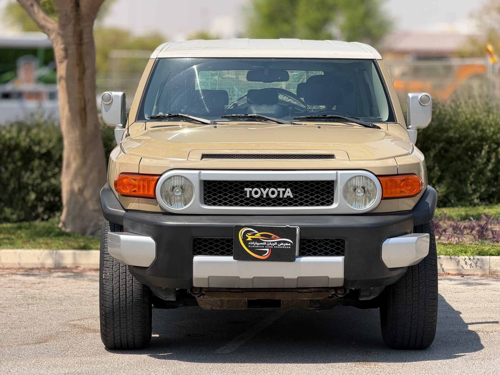 Toyota FJ Cruiser 2013 - Image 2