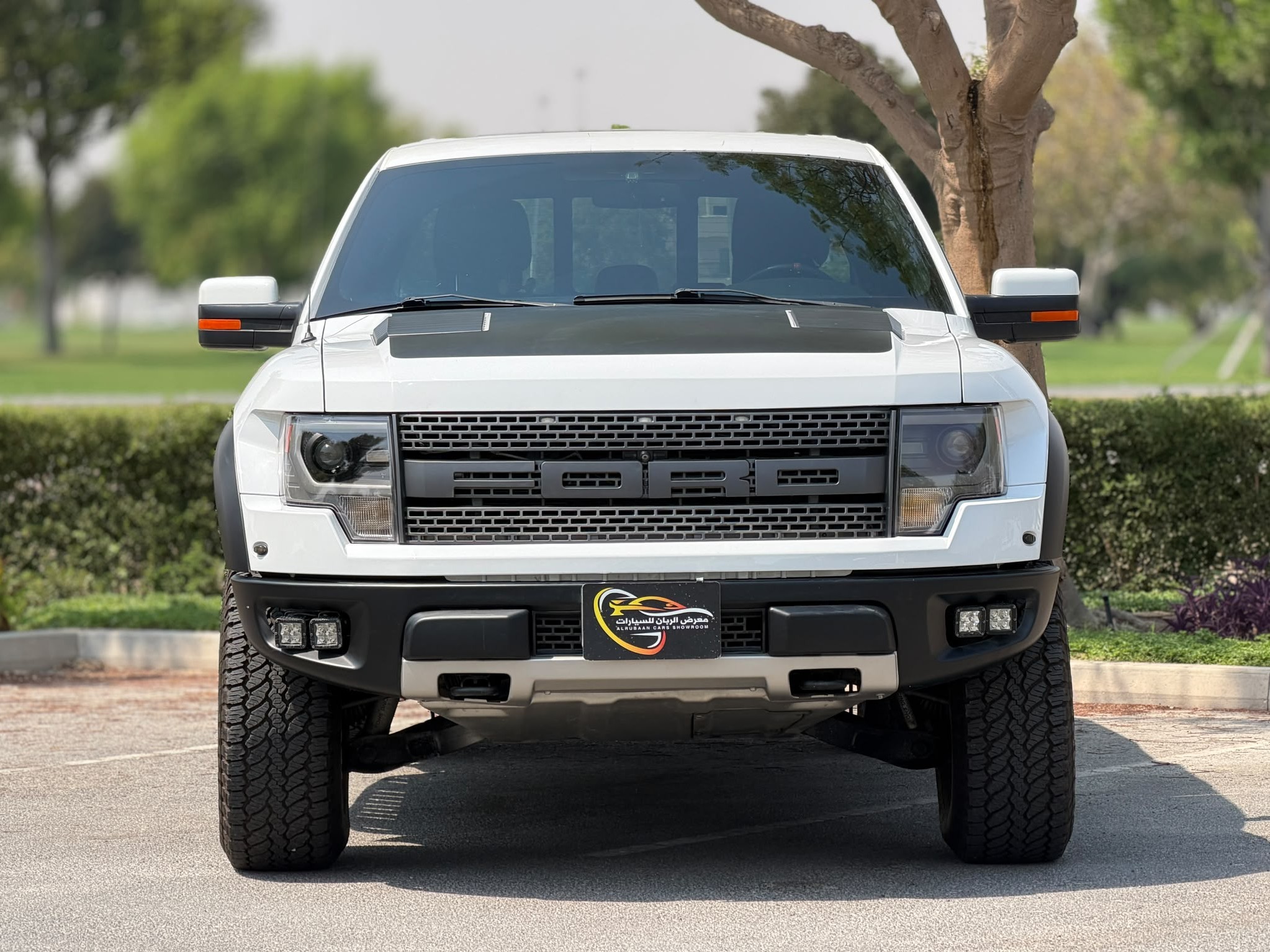 Ford Raptor SVT 2014 - Image 2