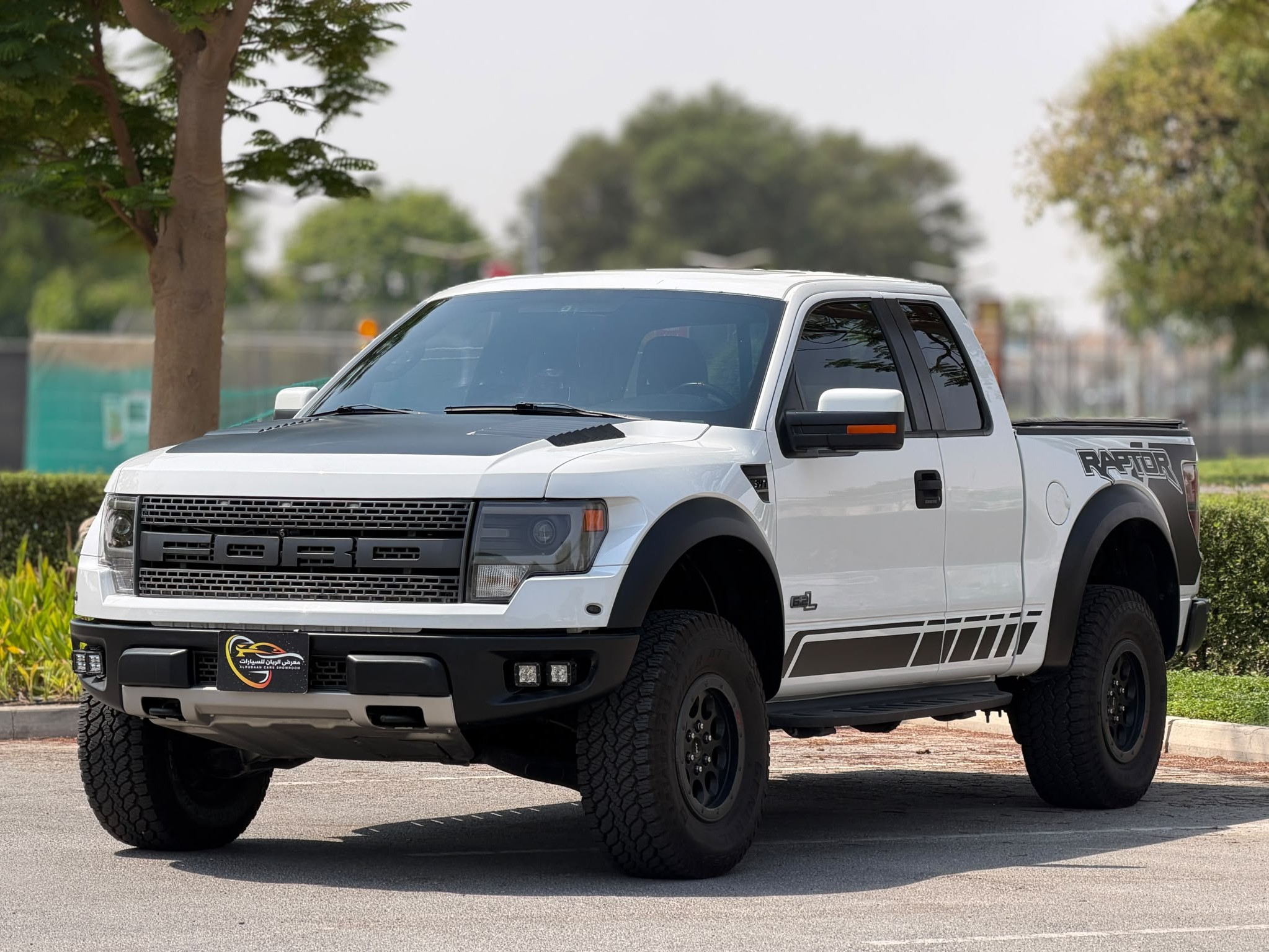 Ford Raptor SVT 2014 - Image 3
