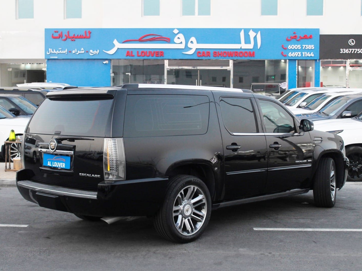كاديلاك إسكاليد اي اس في 2014 - Image 3