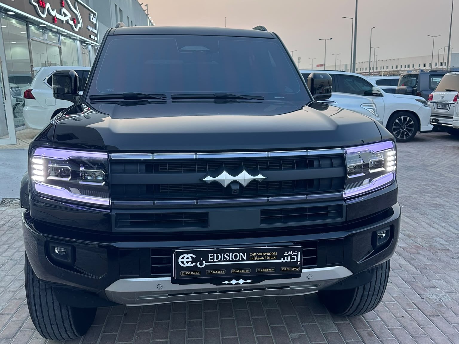 بي واي دي  ليوبارد Altra 2025 - Image 1