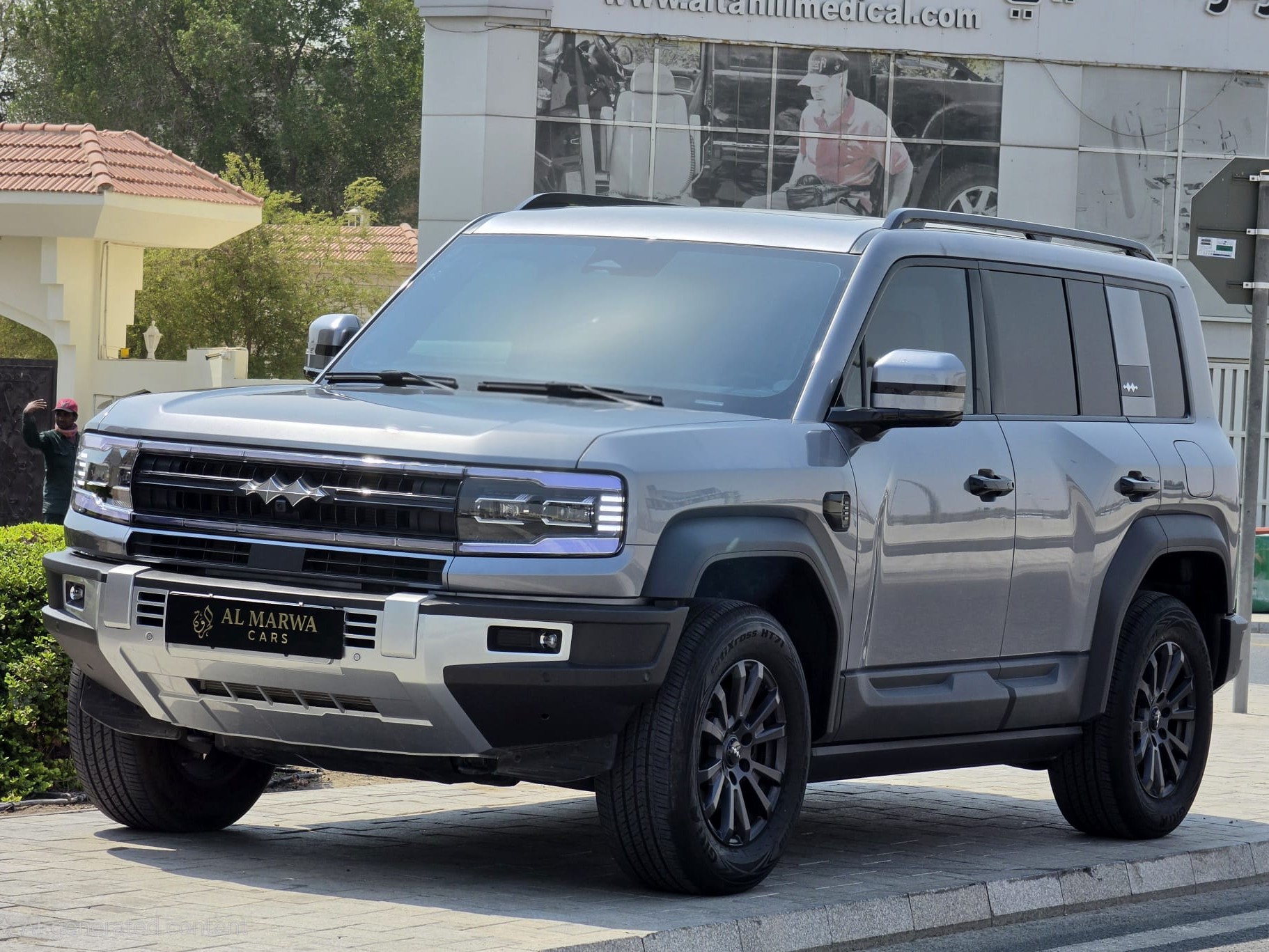 بي واي دي  ليوبارد 2026 - Image 3