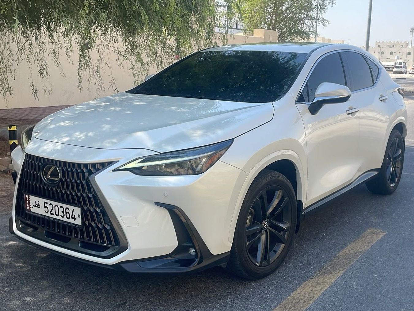 Lexus NX 350 2024 - Image 3
