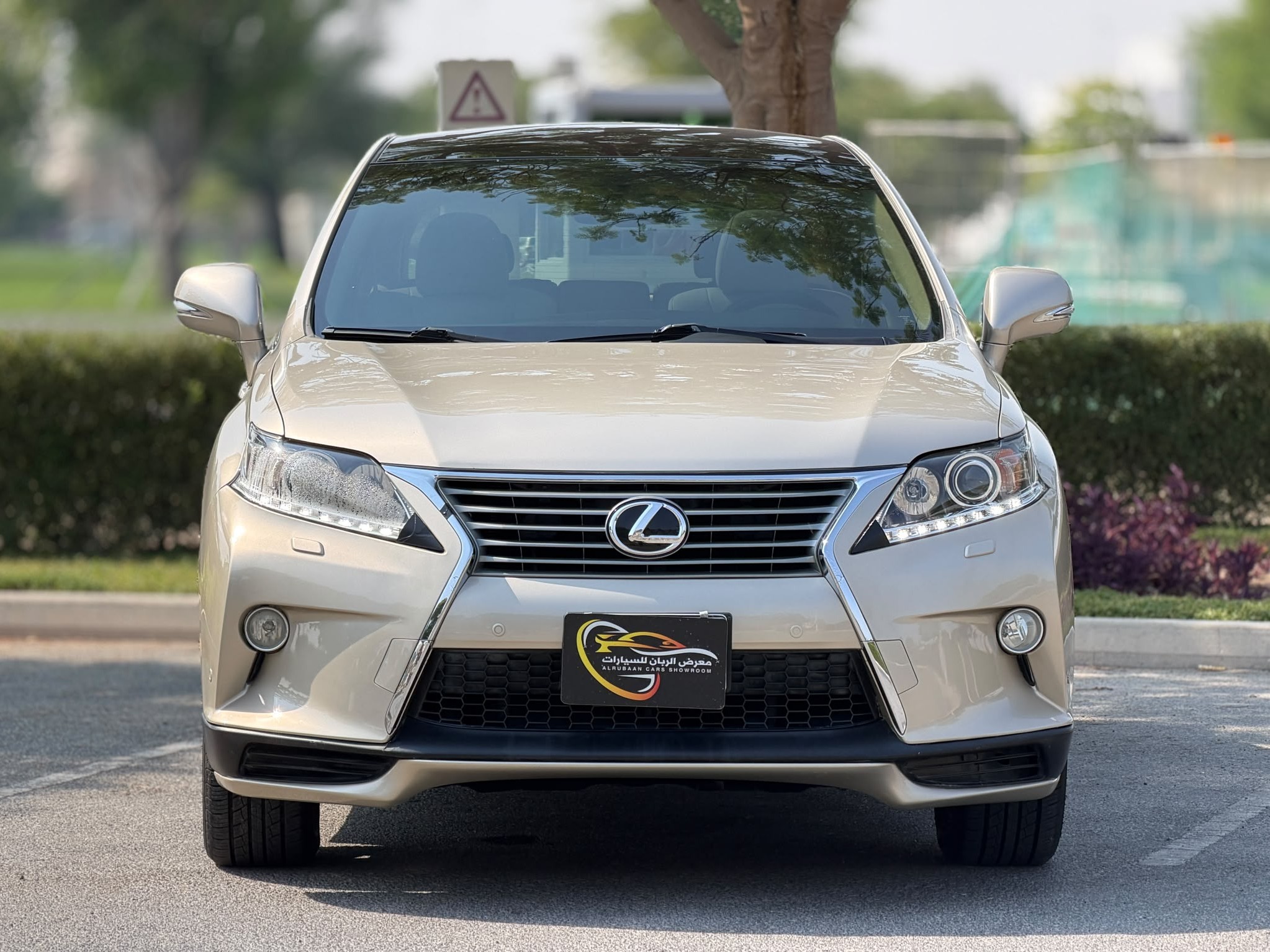Lexus RX 350 2014 - Image 2