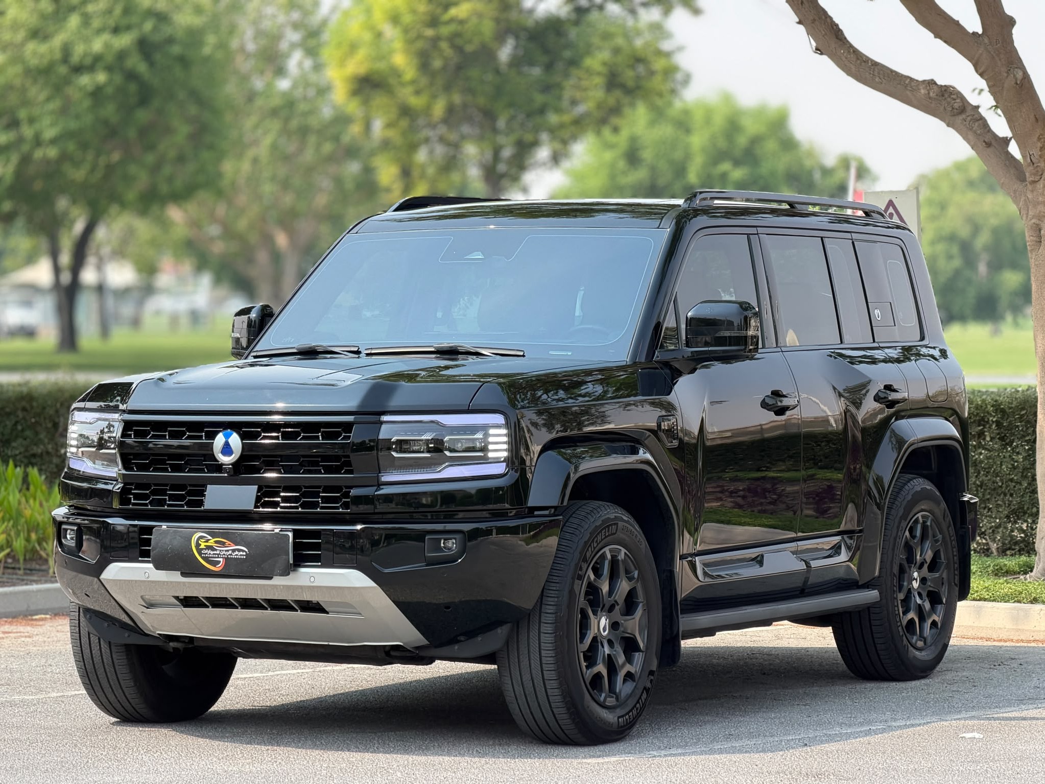 بي واي دي  DENZA B5 2026 - Image 3