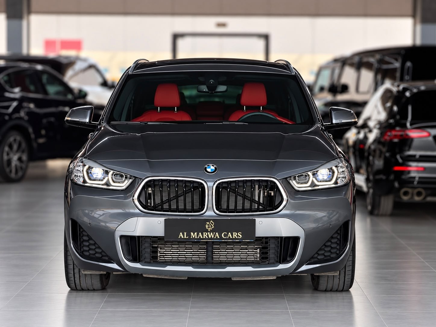 BMW X-Series X2  2022 - Image 2