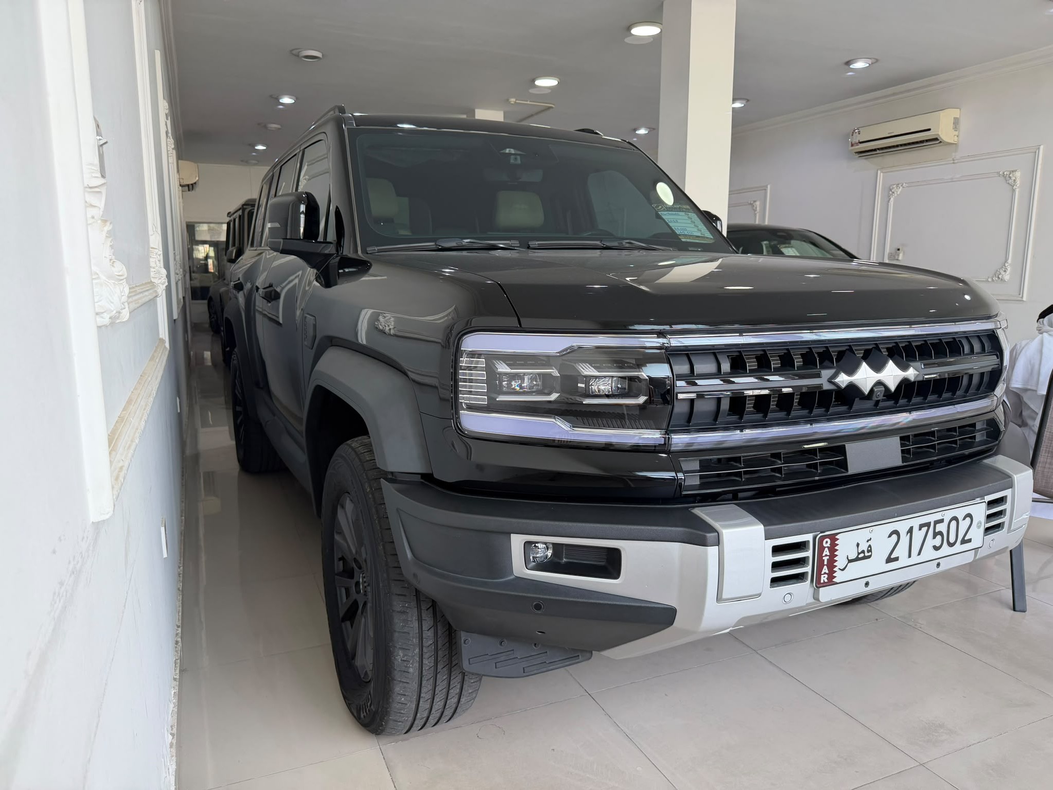 بي واي دي  ليوبارد 2025